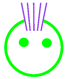 punk thistle